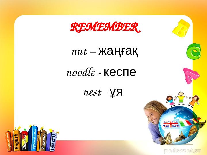 REMEMBER nut – жаңғақ noodle - кеспе nest - ұя