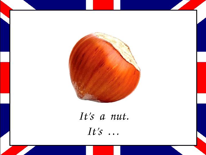 It’s a nut. It’s …