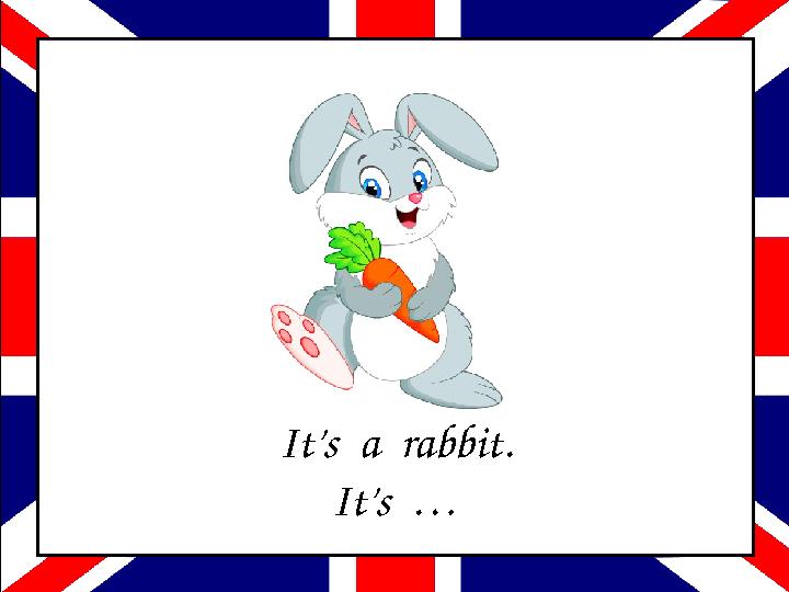 It’s a rabbit. It’s …