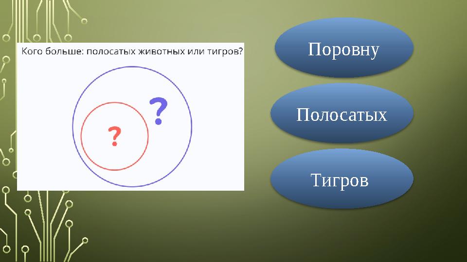 Поровну Тигров Полосатых