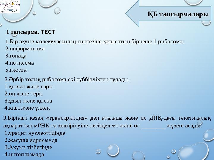 ҚБ тапсырмалары 1 тапсырма. ТЕСТ 1.Бір ақуыз молекуласының синтезіне қатысатын бірнеше 1.рибосома: 2.информосома 3.гонада 4.пол