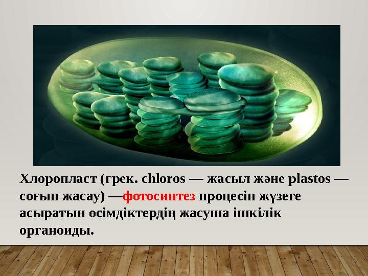 Хлоропласт (грек. chloros — жасыл және plastos — соғып жасау) —фотосинтез процесін жүзеге асыратын өсімдіктердің жасуша ішкіл