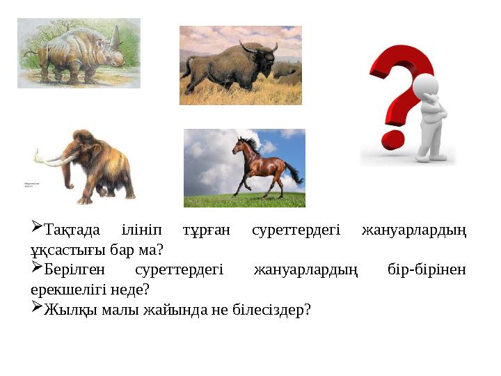 Тақтада ілініп тұрған суреттердегі жануарлардың ұқсастығы бар ма? Берілген суреттердегі жануарлардың бір-бірінен ерекшелігі