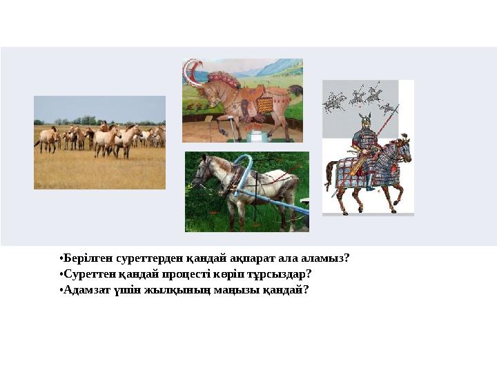 •Берілген суреттерден қандай ақпарат ала аламыз? •Суреттен қандай процесті көріп тұрсыздар? •Адамзат үшін жылқының маңызы қандай