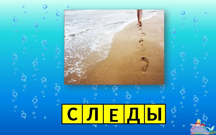 СЛЕДЫ