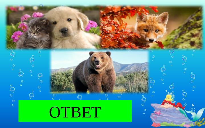 ОТВЕТ