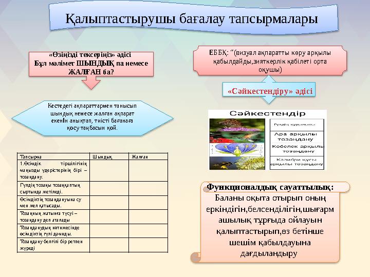 Қалыптастырушы бағалау тапсырмалары «Өзіңізді тексеріңіз» әдісі Бұл мәлімет ШЫНДЫҚ па немесе ЖАЛҒАН ба? ЕББҚ: “(визуал ақп