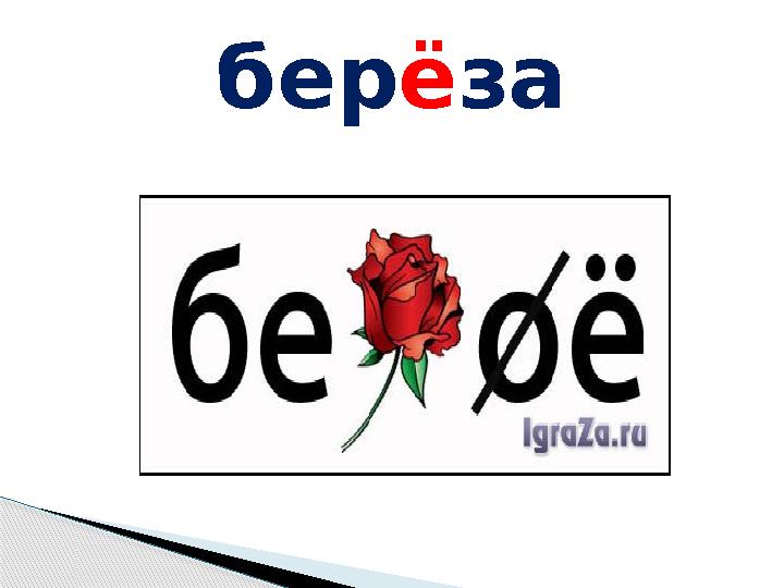 берёза