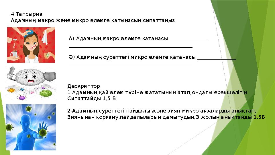 4 Тапсырма Адамның макро және микро әлемге қатынасын сипаттаңыз А) Адамның макро әлемге қатанасы _______________