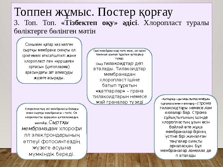 Топпен жұмыс. Постер қорғау 3. Топ. Топ. «Тізбектеп оқу» әдісі. Хлоропласт туралы бөліктерге бөлінген мәтін Хлоропластың екі