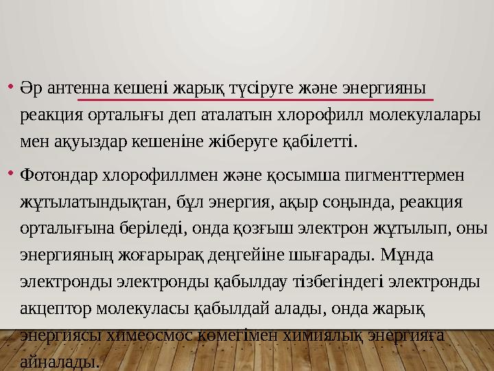 •Әр антенна кешені жарық түсіруге және энергияны реакция орталығы деп аталатын хлорофилл молекулалары мен ақуыздар кешеніне ж