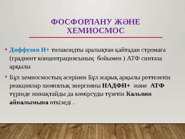 ФОСФОРЛАНУ ЖӘНЕ ХЕМИОСМОС •Диффузия H+ тилакоидты аралықтан қайтадан стромаға (градиент концентрациясының бойымен ) АТФ синт