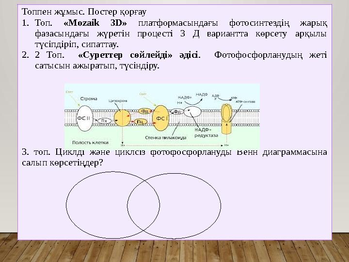 Топпен жұмыс. Постер қорғау 1.Топ. «Mozaik 3D» платформасындағы фотосинтездің жарық фазасындағы жүретін процесті 3 Д вариантта