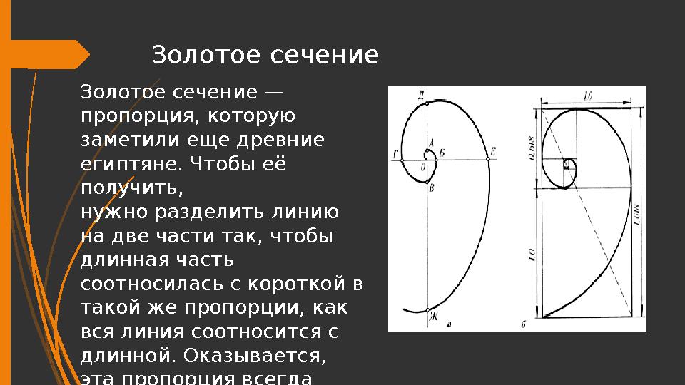 Золотое сечение Золотое сечение — пропорция, которую заметили еще древние египтяне. Чтобы её получить, нужно