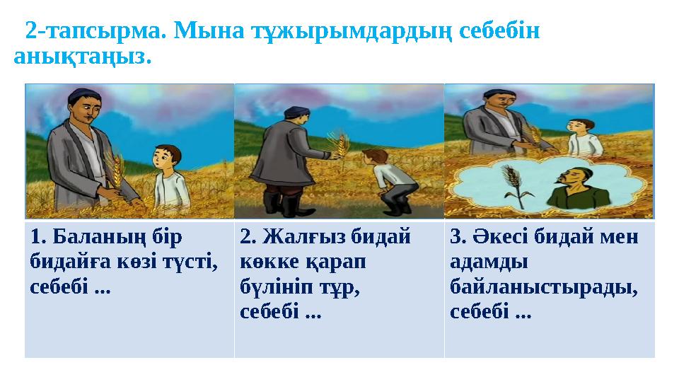 2-тапсырма. Мына тұжырымдардың себебін анықтаңыз. 1. Баланың бір бидайға көзі түсті, себебі ... 2. Жалғыз бидай көкке қа