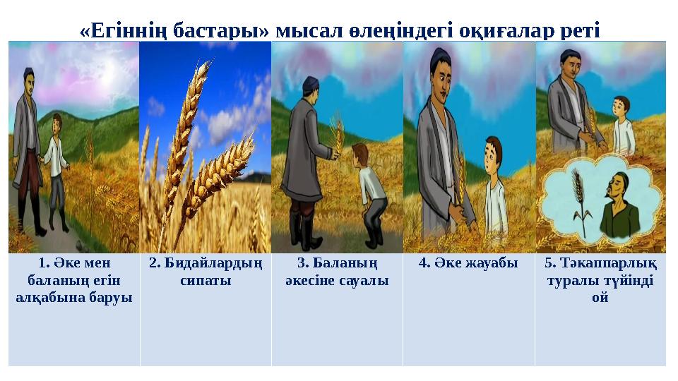 «Егіннің бастары» мысал өлеңіндегі оқиғалар реті 1. Әке мен баланың егін алқабына баруы 2. Бидайлардың сипаты 3. Баланың әк