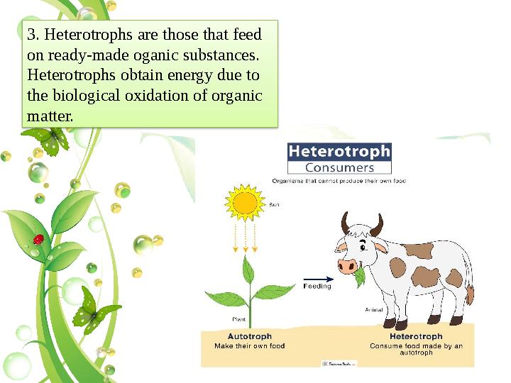 3. Heterotrophs are those that feed on ready-made oganic substances. Heterotrophs obtain energy due to the biological oxida