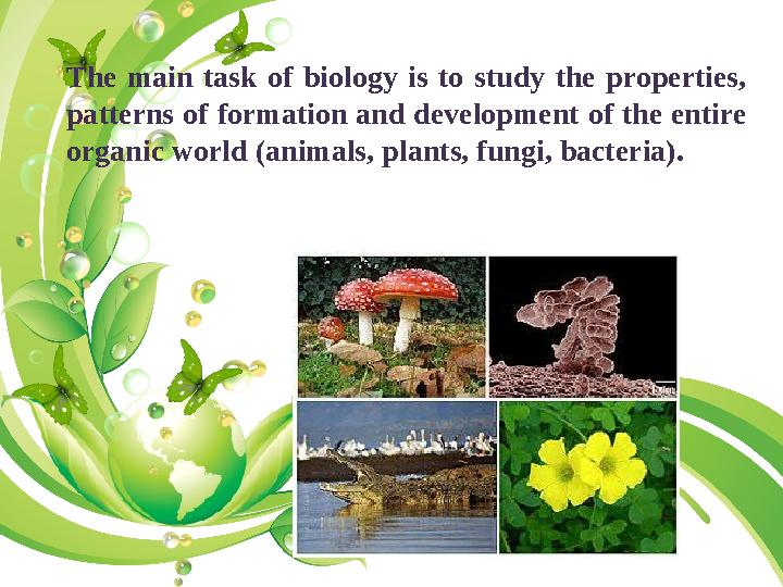 The main task of biology is to study the properties, patterns of formation and development of the entire organic world (animal