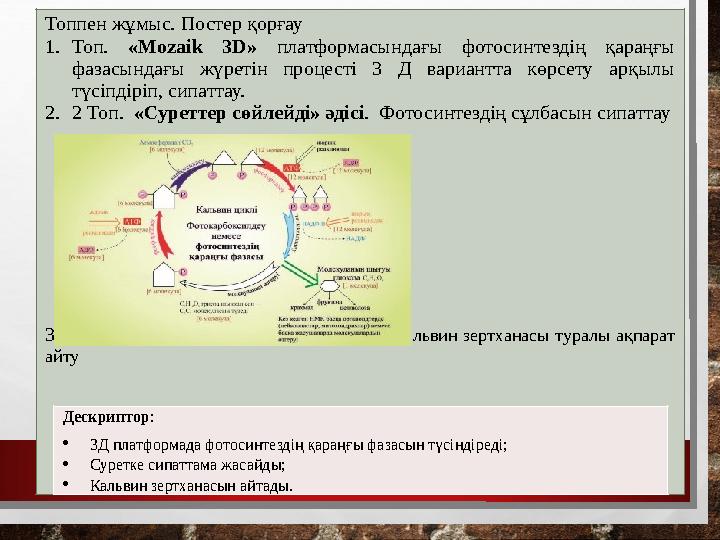 Топпен жұмыс. Постер қорғау 1.Топ. «Mozaik 3D» платформасындағы фотосинтездің қараңғы фазасындағы жүретін процесті 3 Д вариант