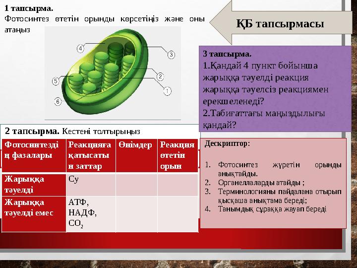 ҚБ тапсырмасы 1 тапсырма. Фотосинтез өтетін орынды көрсетіңіз және оны атаңыз 2 тапсырма. Кестені толтырыңыз ...............