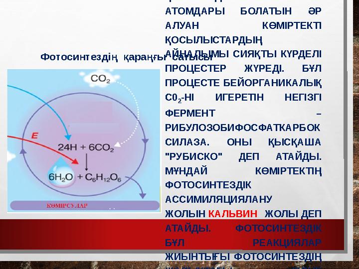 ФОТОСИНТЕЗДІҢ II САТЫСЫ ЖАРЫҚ КВАНТЫН ҚАЖЕТ ЕТПЕГЕНДІКТЕН, ФОТОСИНТЕЗДІҢ ҚАРАҢҒЫ САТЫСЫ ДЕП АТАЛҒАН. БҰЛ САТЫДА С0 2-НІ ИГ