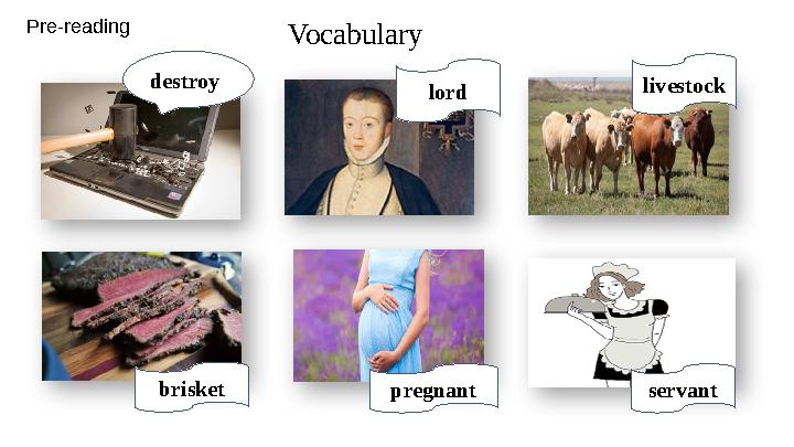 Pre-reading Vocabulary destroy lord livestock brisket pregnant servant