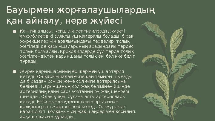 Олар егде жастағы әйелдердің аузына кіргізеді Неліктен қынап іші суық? (Пікірлер)