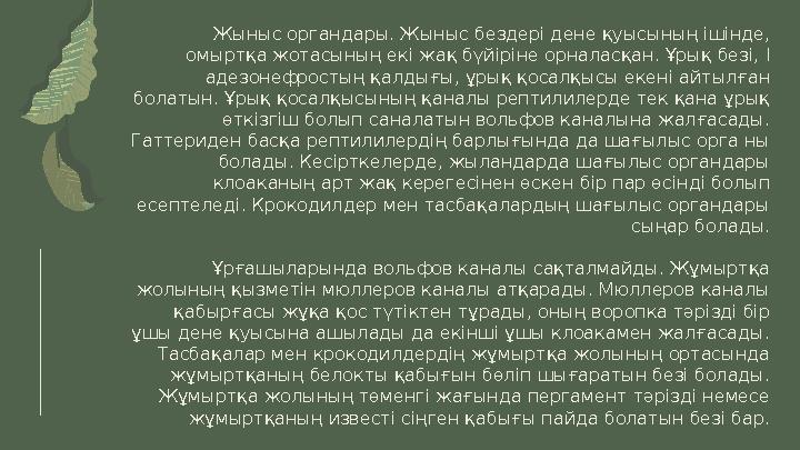 Жыныс органдары. Жыныс бездері дене қуысының ішінде, омыртқа жотасының екі жақ бүйіріне орналасқан. Ұрық безі, I адезонефрос