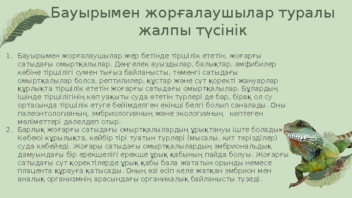 Трусиканың астынан киска көрінеді ВКонтакте желісінде Wiska көмегімен порно көру