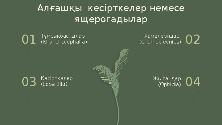 Тұмсықбастылар (Кһуnсһосерһаlіа)01 Хамелеондар (Сһаmаеlеоnіеs)02 Кесірткелер (Lасеrtіlіа)03 04 Алғашқы кесірткелер немес