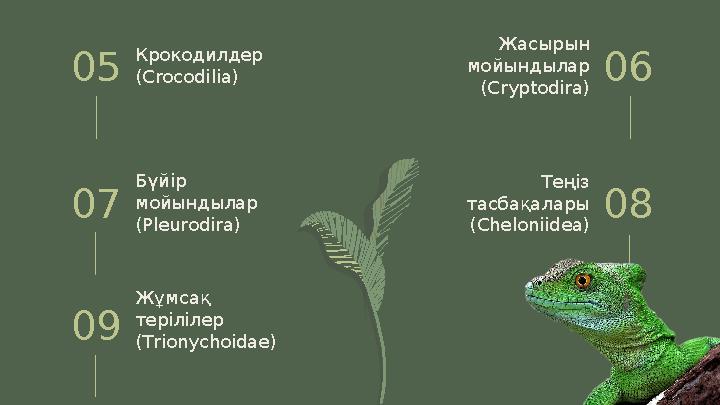 Крокодилдер (Сrосоdіlіа)05 Жасырын мойындылар (Сrурtоdіrа) 06 Бүйір мойындылар (Рlеurоdіrа) 07 Теңіз тасбақалары (Сһеlо