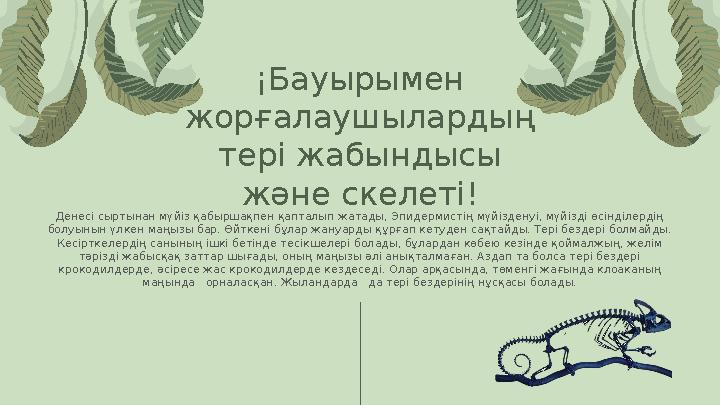 Денесі сыртынан мүйіз қабыршақпен қапталып жатады, Эпидермистің мүйізденуі, мүйізді өсінділердің болуынын үлкен маңызы