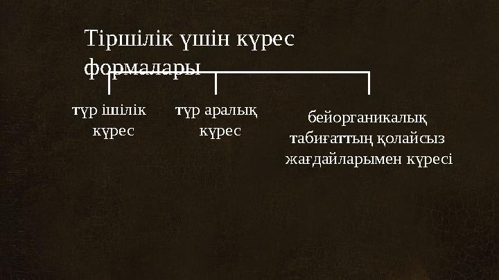 Тіршілік үшін күрес формалары түр ішілік күрес түр аралық күрес бейорганикалық табиғаттың қолайсыз жағдайларымен күресі