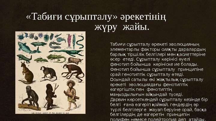 «Табиғи сұрыпталу» əрекетінің жүру жайы. Табиғи сұрыпталу əрекеті эволюцияның элементарлы факторы сияқты даралардың барлық