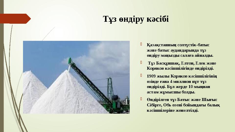 Тұз өндіру кәсібі Қазақстанның солтүстік-батыс және батыс аудандарында тұз өндіру маңызды салаға айналды.  Тұз