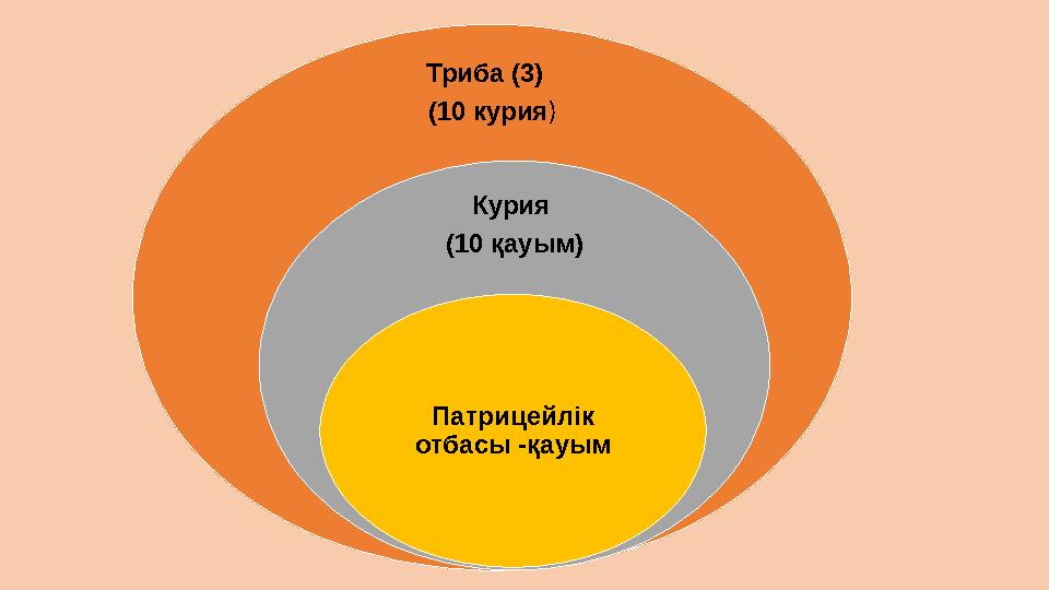 Триба (3) (10 курия) Курия (10 қауым) Патрицейлік отбасы -қауым