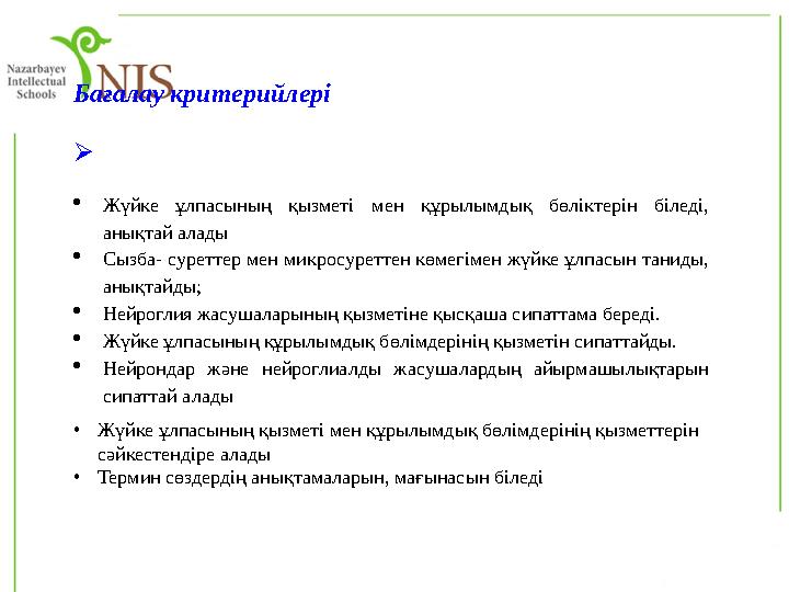 Бағалау критерийлері  Жүйке ұлпасының қызметі мен құрылымдық бөліктерін біледі, анықтай алады Сызба- суреттер мен микросур