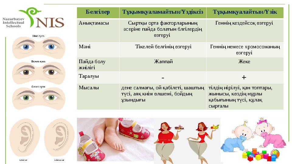 БелгілерТұқымқуаламайтын/Үздіксіз Тұқымқуалайтын/Үзік Анықтамасы Сыртқы орта факторларының әсеріне пайда болатын блгілердің өз