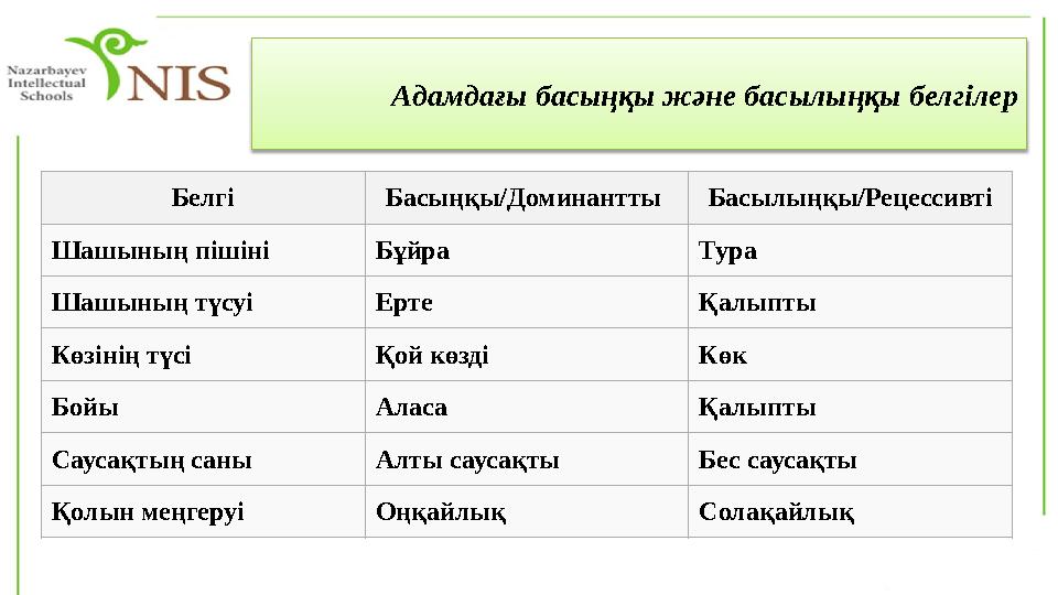 Адамдағы басыңқы және басылыңқы белгілер Белгі Басыңқы/Доминантты Басылыңқы/Рецессивті Шашының пішіні Бұйра Тура Шашының түсуі
