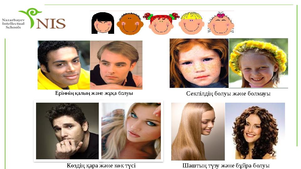 Еріннің қалың және жұқа болуы Секпілдің болуы және болмауы Көздің қара және көк түсі Шаштың түзу және бұйра болуы