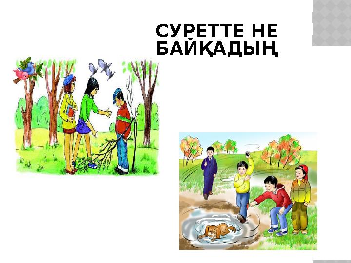 СУРЕТТЕ НЕ БАЙҚАДЫҢ СУРЕТТЕ НЕ БАЙҚАДЫҢ