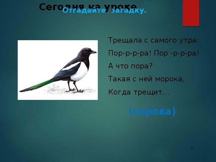 4 Сегодня на уроке Отгадайте загадку. Трещала с самого утра: Пор-р-р-ра! Пор -р-р-ра! А что пора? Такая с ней морока, Ког 4 Сегодня на уроке Отгадайте загадку. Трещала с самого утра: Пор-р-р-ра! Пор -р-р-ра! А что пора? Такая с ней морока, Ког