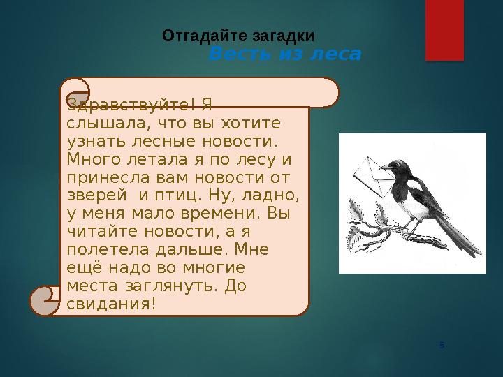 5 Отгадайте загадки Здравствуйте! Я слышала, что вы хотите узнать лесные новости. Много летала я по лесу и принесла ва 5 Отгадайте загадки Здравствуйте! Я слышала, что вы хотите узнать лесные новости. Много летала я по лесу и принесла ва