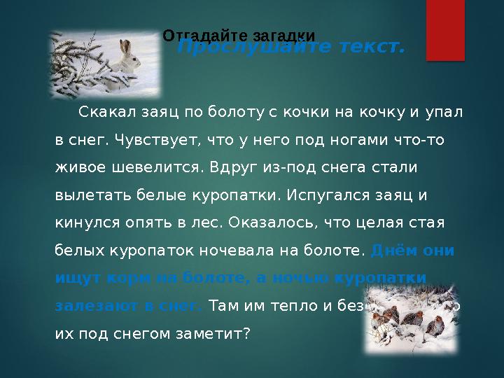 6 Отгадайте загадки Скакал заяц по болоту с кочки на кочку и упал в снег. Чувствует, что у него под ногами что-то 6 Отгадайте загадки Скакал заяц по болоту с кочки на кочку и упал в снег. Чувствует, что у него под ногами что-то