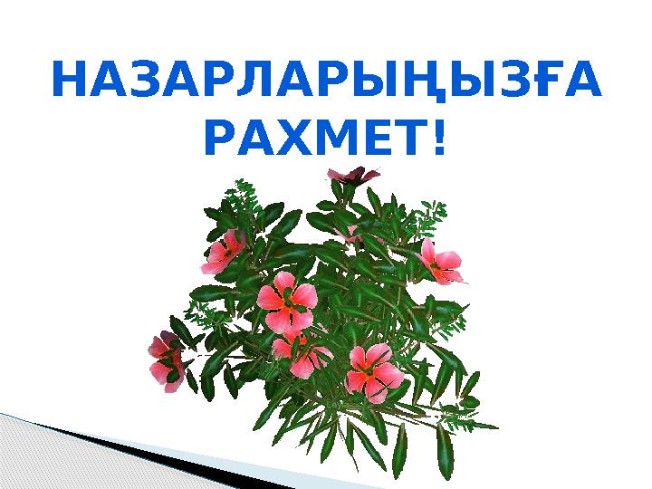 НАЗАРЛАРЫҢЫЗҒА РАХМЕТ!