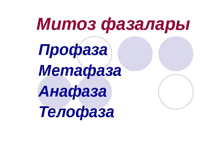 Митоз фазалары Профаза Метафаза Анафаза Телофаза