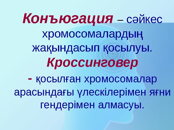Конъюгация – сәйкес хромосомалардың жақындасып қосылуы. Кроссинговер - қосылған хромосомалар арасындағы үлескілерімен яғни г