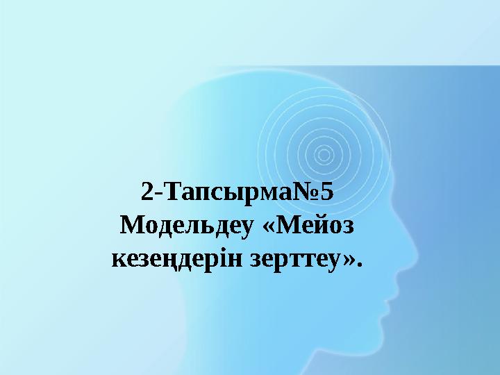 2-Тапсырма№5 Модельдеу «Мейоз кезеңдерін зерттеу».
