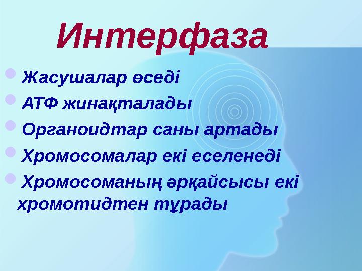 Интерфаза Жасушалар өседі АТФ жинақталады Органоидтар саны артады Хромосомалар екі еселенеді Хромосоманың әрқайсысы екі хр