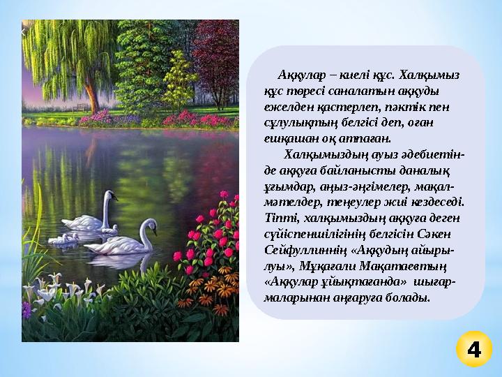 4 Аққулар – киелі құс. Халқымыз құс төресі саналатын аққуды ежелден қастерлеп, пәктік пен сұлулықтың белгісі деп, оған 4 Аққулар – киелі құс. Халқымыз құс төресі саналатын аққуды ежелден қастерлеп, пәктік пен сұлулықтың белгісі деп, оған